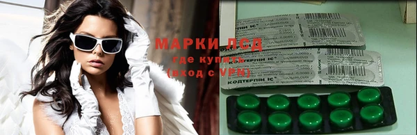 дживик Краснослободск