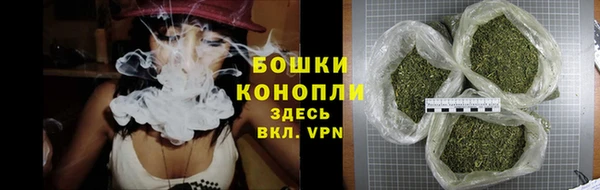 дживик Краснослободск