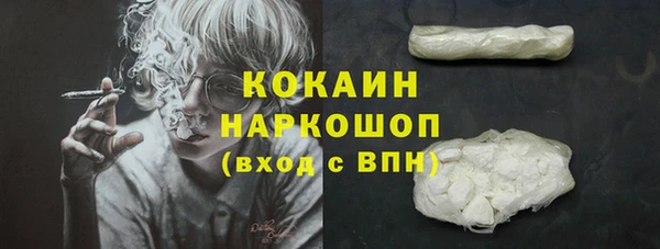 дживик Краснослободск