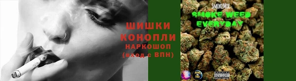 сатива Краснотурьинск
