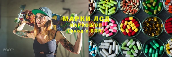 дживик Краснослободск