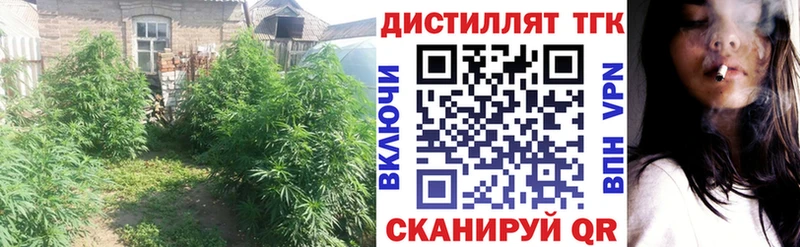 ТГК гашишное масло  Купить закладки  Руза 