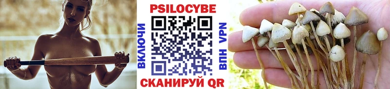 Купить Руза Псилоцибиновые грибы MAGIC MUSHROOMS